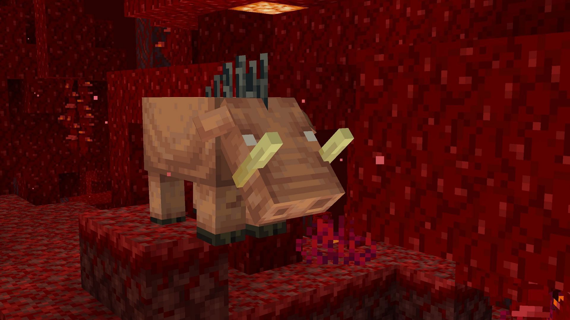 Hoglin can be considered a real-life animal (Image via Sportskeeda Gaming || Mojang Studios)